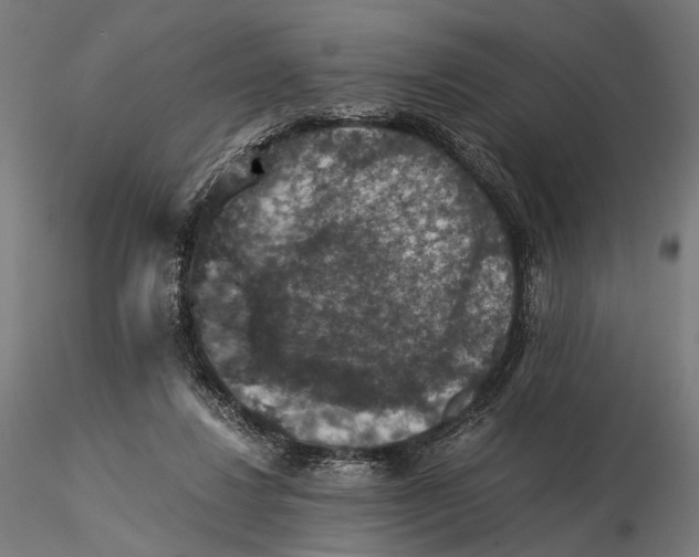 X0000116000260200912101324