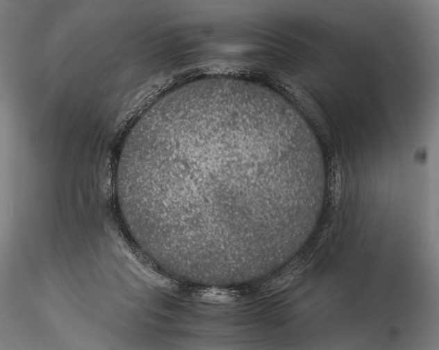 X0000116000261200912101324