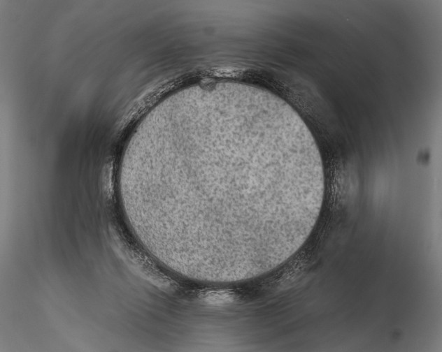 X0000116000262200912101324