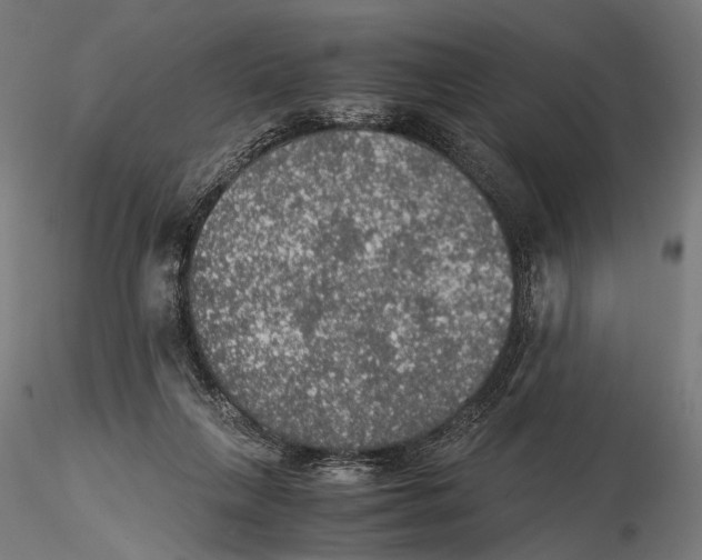 X0000116000263200912101324