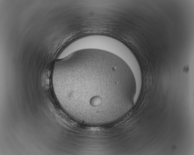 X0000116000264200912101324