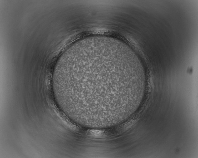 X0000116000265200912101324