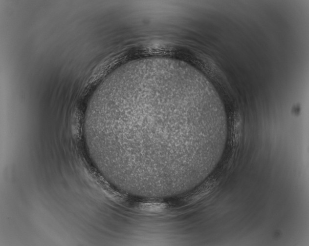 X0000116000266200912101324