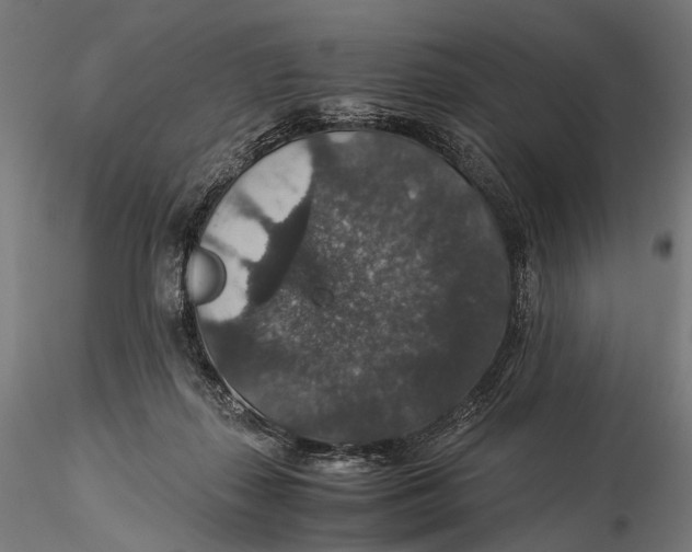 X0000116000267200912101324