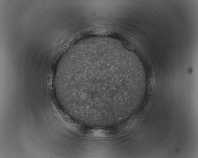 X0000116000268200912101324