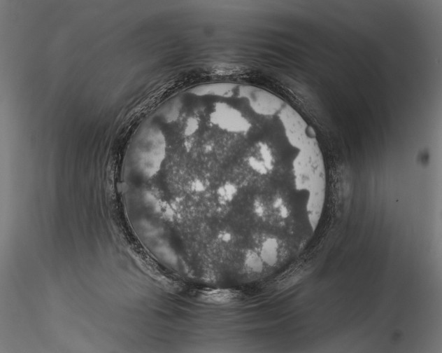 X0000116000269200912101324