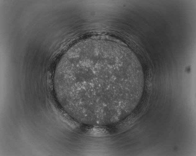 X0000116000270200912101325