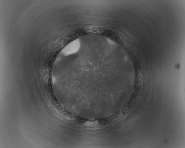 X0000116000271200912101325