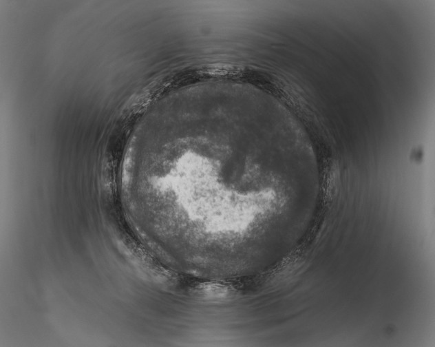 X0000116000272200912101325