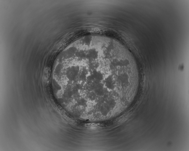 X0000116000273200912101325