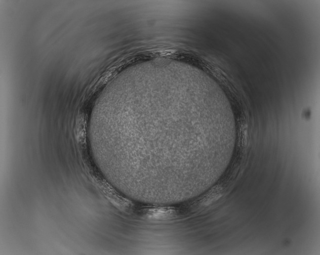 X0000116000274200912101325