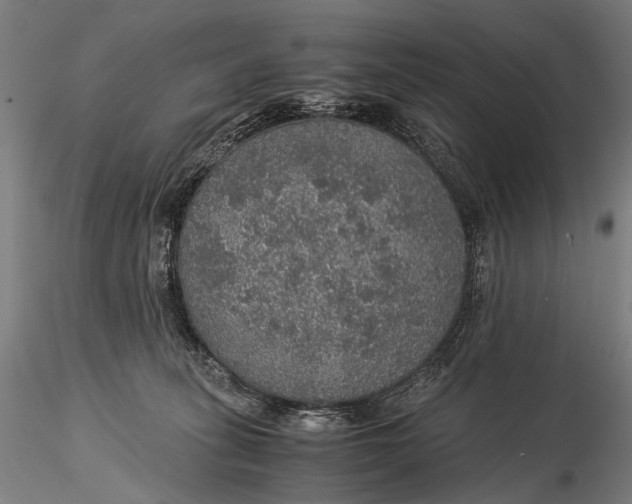 X0000116000275200912101325