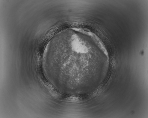 X0000116000276200912101325