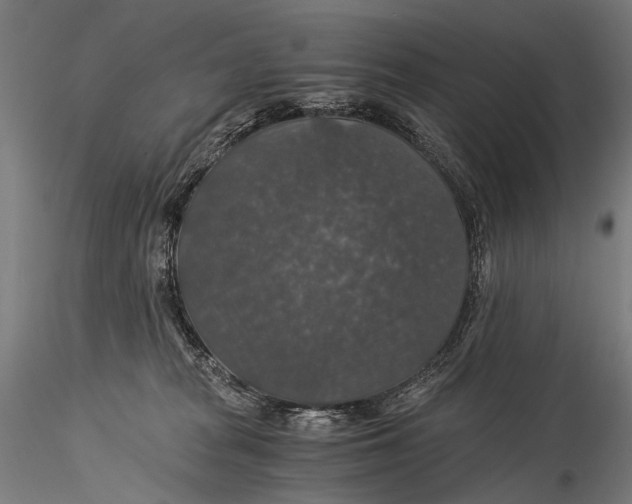 X0000116000277200912101325