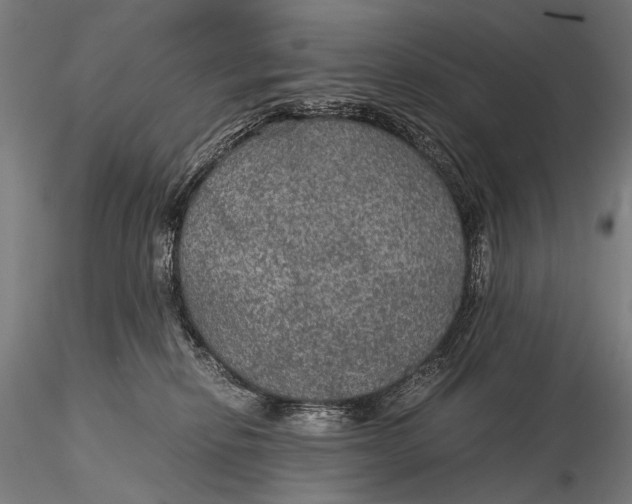 X0000116000278200912101325