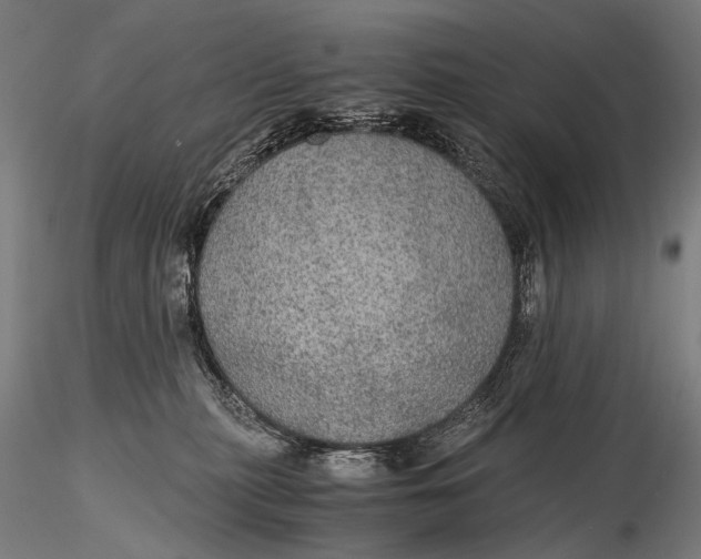 X0000116000279200912101325