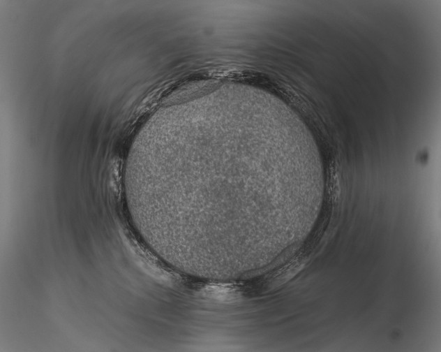 X0000116000280200912101325