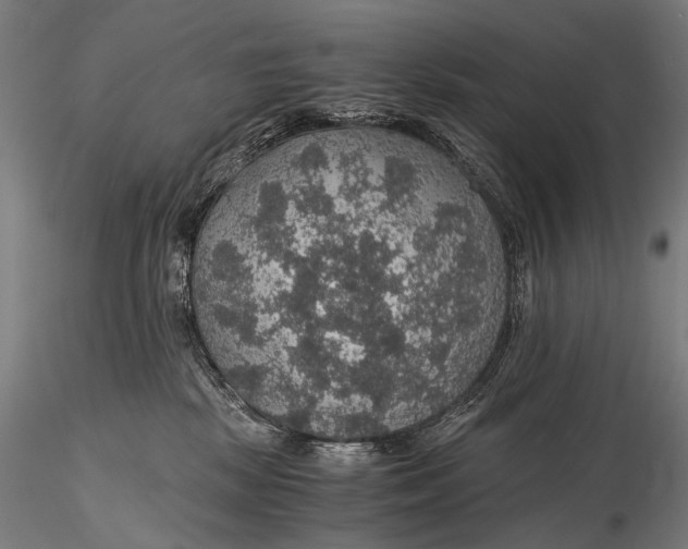 X0000116000281200912101325