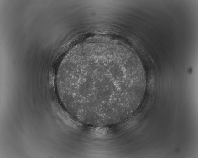 X0000116000282200912101325