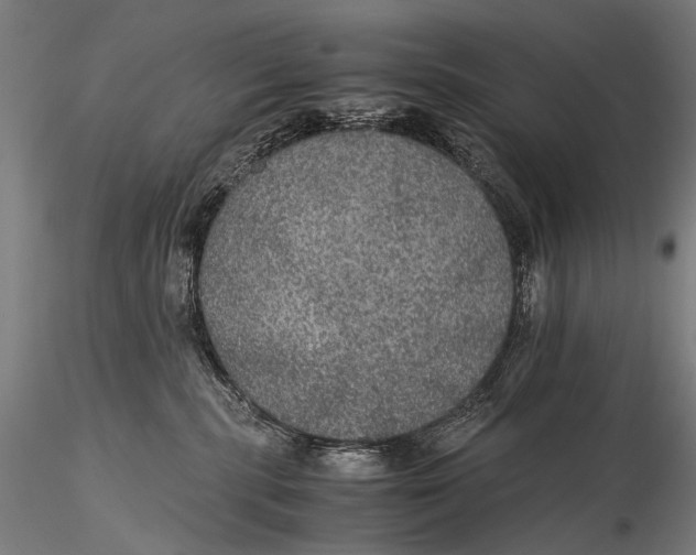 X0000116000283200912101325
