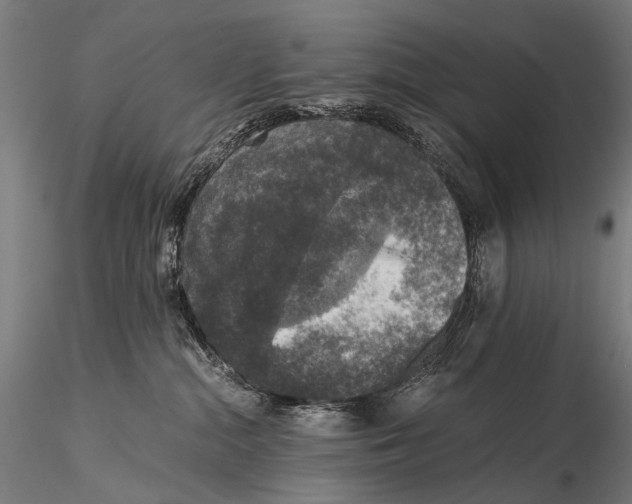 X0000116000284200912101325