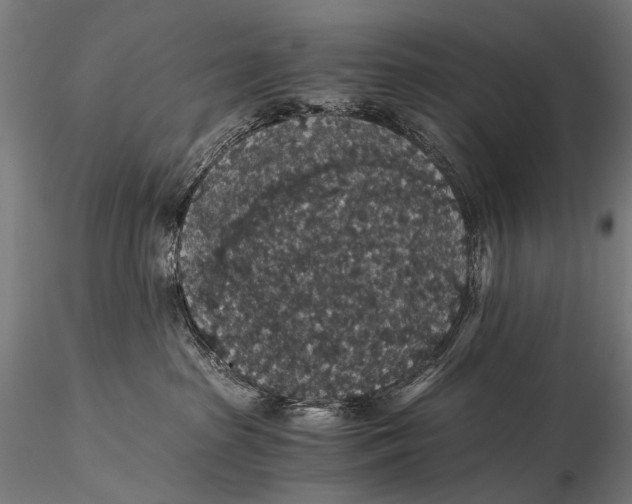 X0000116000285200912101325