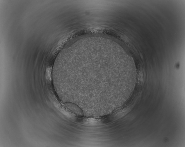 X0000116000286200912101325