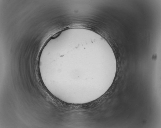 X0000116000289200912101324