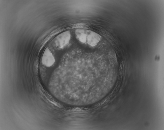 X0000116000290200912101324