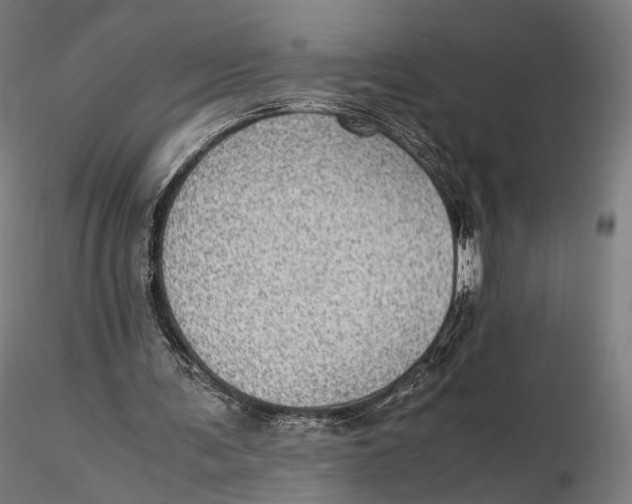 X0000116000291200912101324