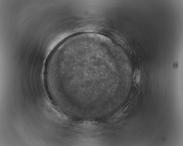 X0000116000292200912101324