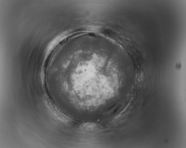 X0000116000294200912101324