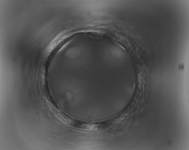 X0000116000295200912101324