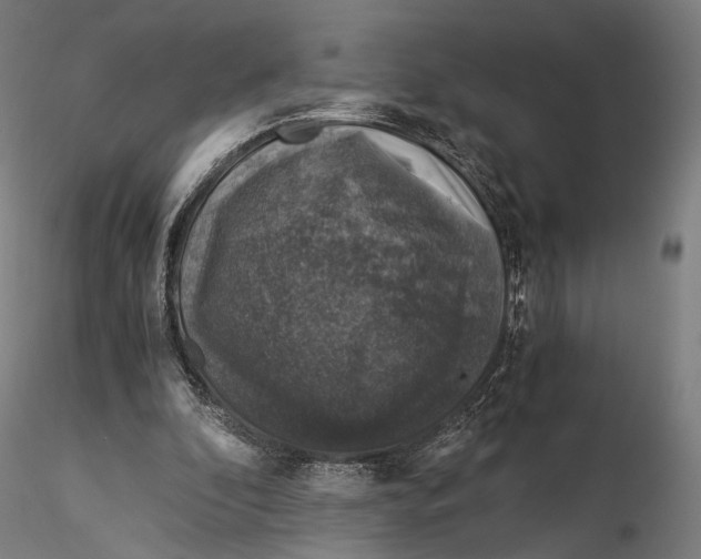 X0000116000296200912101324