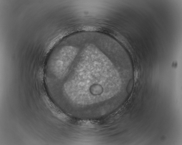 X0000116000297200912101324