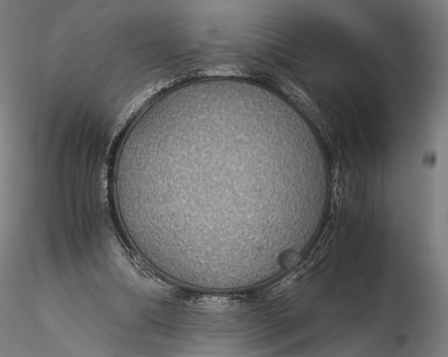 X0000116000298200912101324