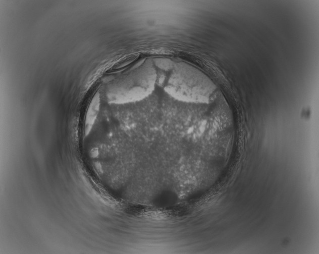 X0000116000299200912101324