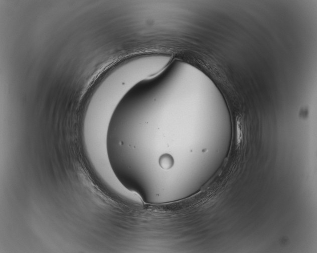 X0000116000300200912101324