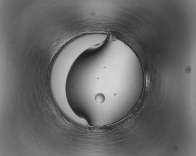 X0000116000301200912101324