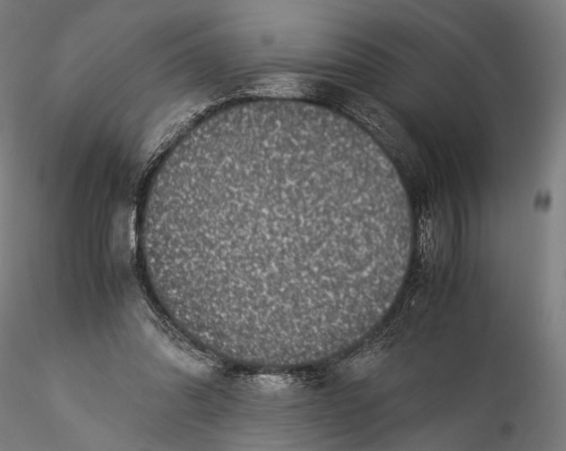 X0000116000302200912101324