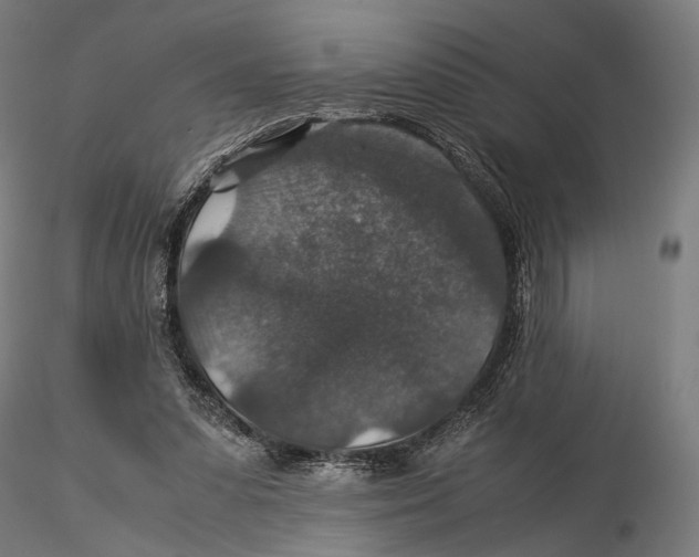 X0000116000303200912101324