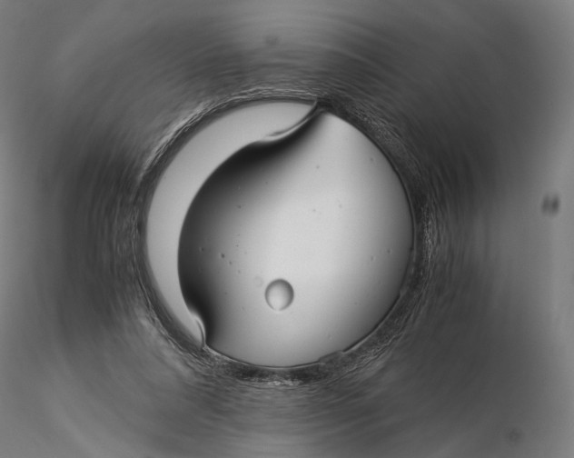 X0000116000304200912101324