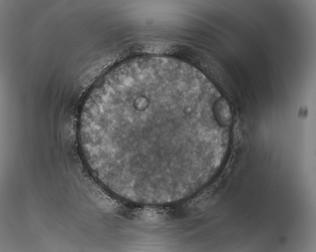 X0000116000305200912101324