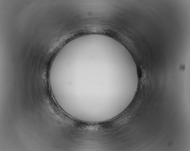 X0000116000306200912101324