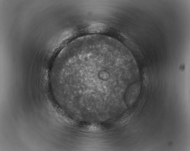 X0000116000308200912101324