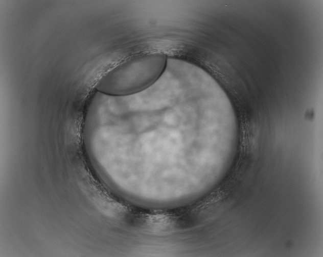 X0000116000309200912101324