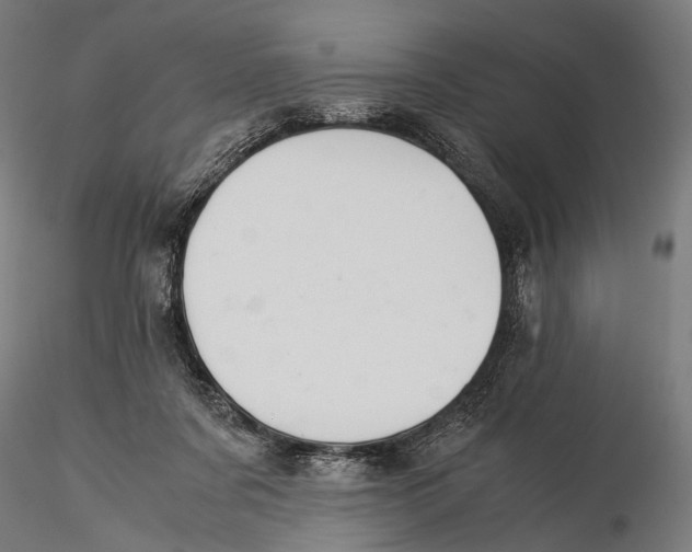 X0000116000311200912101324