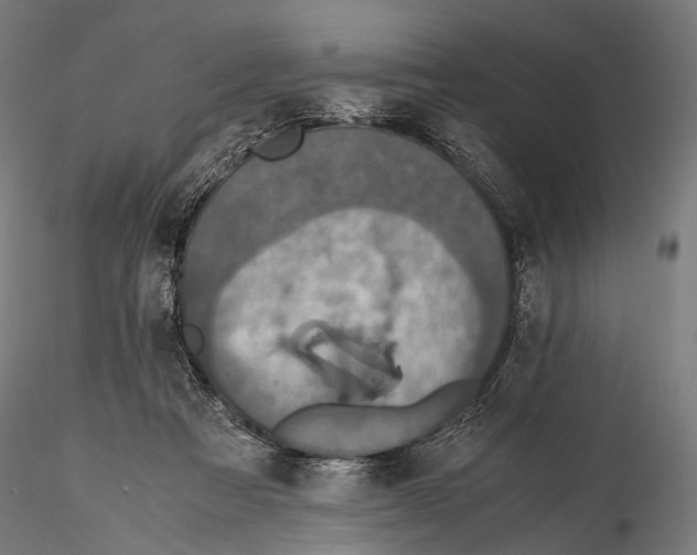 X0000116000313200912101324