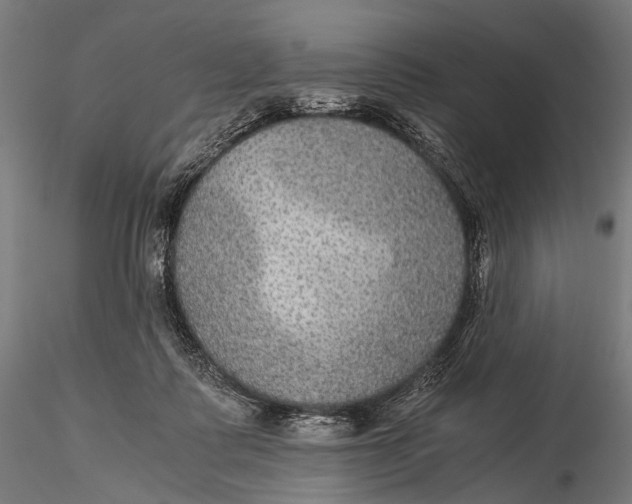 X0000116000315200912101324