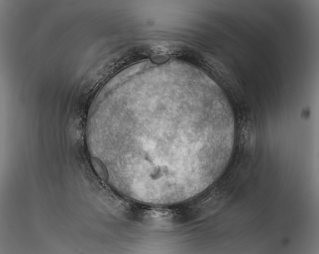 X0000116000317200912101324